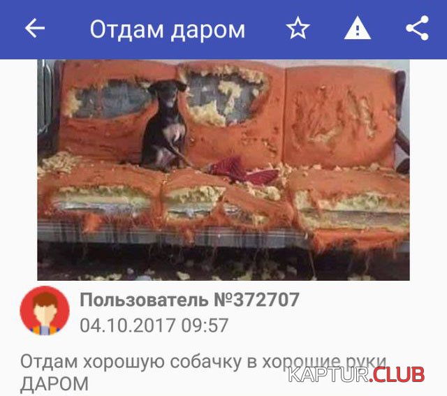 478bbab9547b49d9d10e8c87093.jpg | Рено Каптур Клуб Россия | Форум KAPTUR.SU