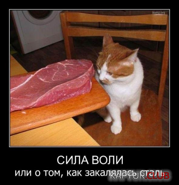 4795c491f6b863449d5f9b8a3f8_prev.jpg | Рено Каптур Клуб Россия | Форум KAPTUR.SU