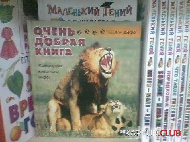 47bbc208e33c2056782260bb825.jpg | Рено Каптур Клуб Россия | Форум KAPTUR.SU