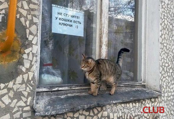 484f9a511dcad27e10ca61a4ff1_prev.jpg | Рено Каптур Клуб Россия | Форум KAPTUR.SU