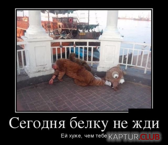 487715c8a96b1c1d1df36461a9a.jpg | Рено Каптур Клуб Россия | Форум KAPTUR.SU
