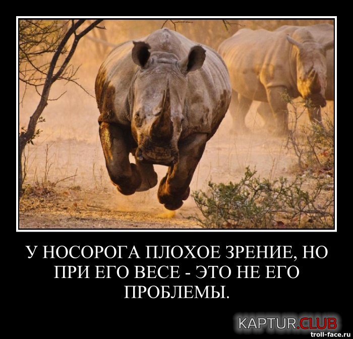 487b0af10edb1fdbf2287c7d856.jpg | Рено Каптур Клуб Россия | Форум KAPTUR.SU