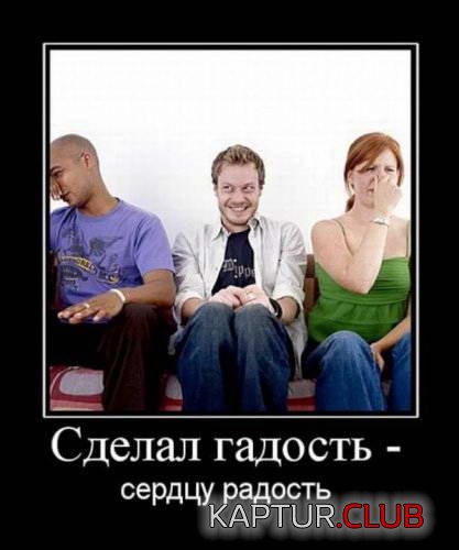 48ae0cf58c13c3d1f76dca29613.jpg | Рено Каптур Клуб Россия | Форум KAPTUR.SU