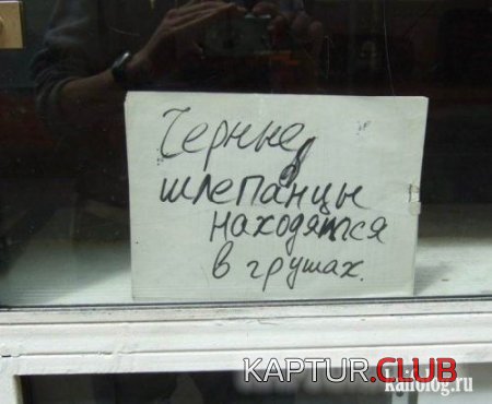 49b004be44b2d55933e4152c272.jpg | Рено Каптур Клуб Россия | Форум KAPTUR.SU