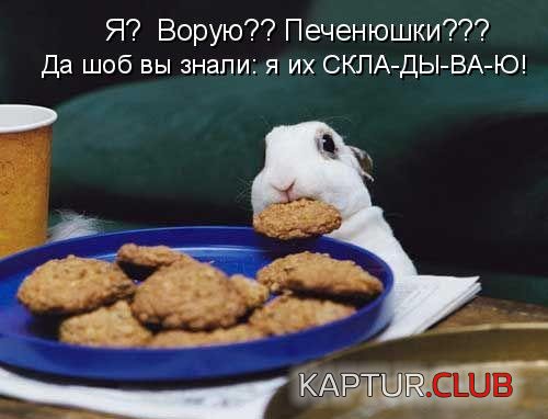 49b8c4a7b0f1da8b870c4ffb90886095_full.jpg | Рено Каптур Клуб Россия | Форум KAPTUR.SU