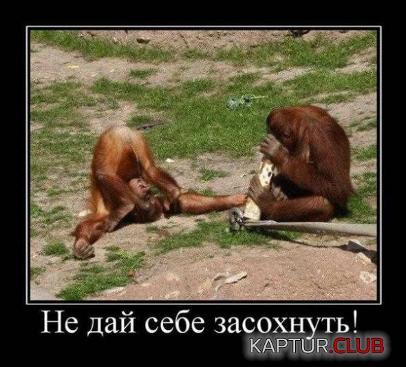 4a0d816f2589b5a304f59b0c66d_prev.jpg | Рено Каптур Клуб Россия | Форум KAPTUR.SU