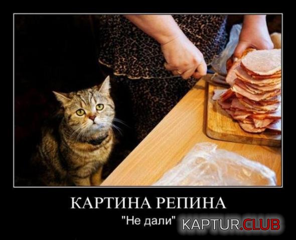 4a186123b0bfdc738a17a2a89f0_prev.jpg | Рено Каптур Клуб Россия | Форум KAPTUR.SU