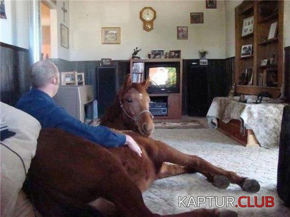 4abc11a39eb79f991a6ea0aa29a_prev.jpg | Рено Каптур Клуб Россия | Форум KAPTUR.SU