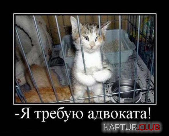 4acf0fee2a91429a44ed0b5b5fc_prev.jpg | Рено Каптур Клуб Россия | Форум KAPTUR.SU