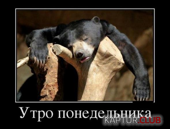 4b0d880c6c86c41a66be3c630ea_prev.jpg | Рено Каптур Клуб Россия | Форум KAPTUR.SU
