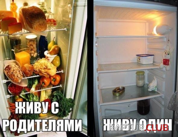 4b87df36ea636dbc3ef395a6a1e_prev.jpg | Рено Каптур Клуб Россия | Форум KAPTUR.SU