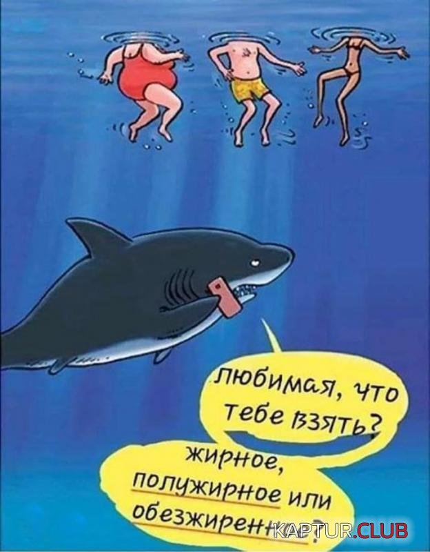 4bacc2be2347a28d01e522649c4_prev.jpg | Рено Каптур Клуб Россия | Форум KAPTUR.SU