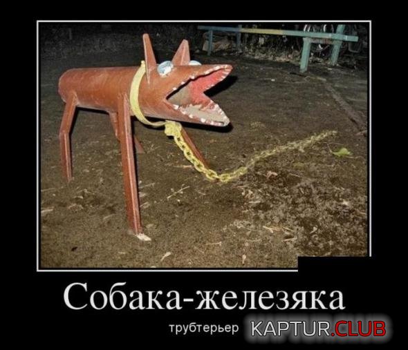 4c47914822efd0d64a58447bdd0_prev.jpg | Рено Каптур Клуб Россия | Форум KAPTUR.SU