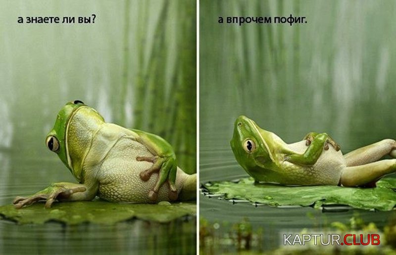 4c5b0afd09ad5b6060d6e51ba0c.jpg | Рено Каптур Клуб Россия | Форум KAPTUR.SU