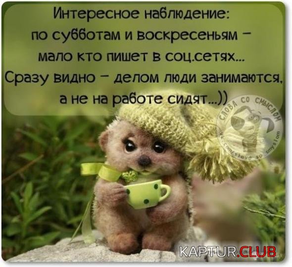 4c7f8f30e0c26caeba6e70ce5fa_prev.jpg | Рено Каптур Клуб Россия | Форум KAPTUR.SU