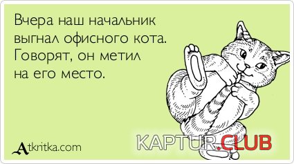 4c952b15ba5c5b9d712414c101c.jpg | Рено Каптур Клуб Россия | Форум KAPTUR.SU