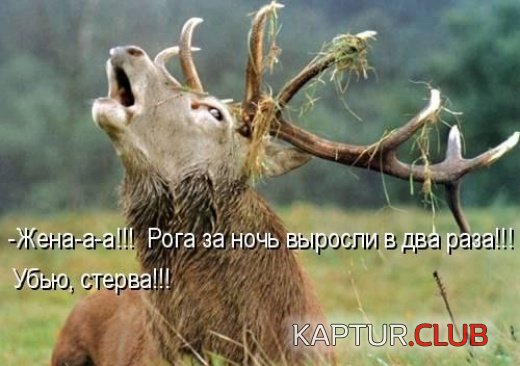 4cd41f8fe0b58bd3cca7107d2c5fae34_full.jpg | Рено Каптур Клуб Россия | Форум KAPTUR.SU