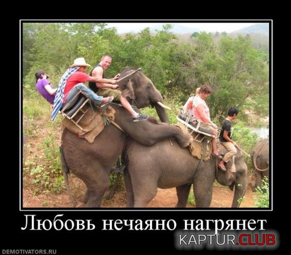 4cf28dc90d95426e3f941863b1b_prev.jpg | Рено Каптур Клуб Россия | Форум KAPTUR.SU