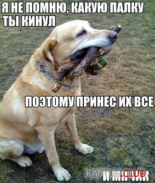4d0fd0a8779c17acc41e0e84eeb.jpg | Рено Каптур Клуб Россия | Форум KAPTUR.SU