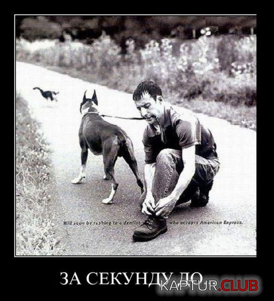 4d7bb6d0bcff16d796e393c1b85.jpg | Рено Каптур Клуб Россия | Форум KAPTUR.SU