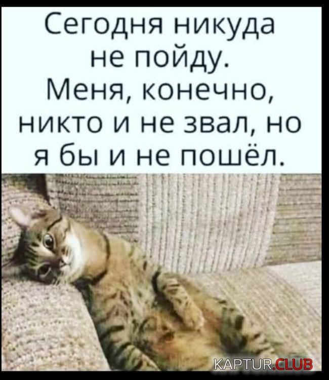 4dc24e5a5c72559badae6bedad3.jpg | Рено Каптур Клуб Россия | Форум KAPTUR.SU