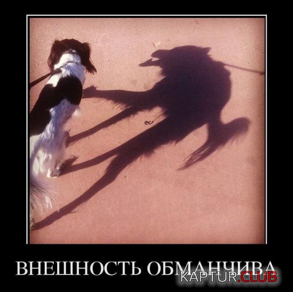 4ea492c16db813170542b71ea04_prev.jpg | Рено Каптур Клуб Россия | Форум KAPTUR.SU