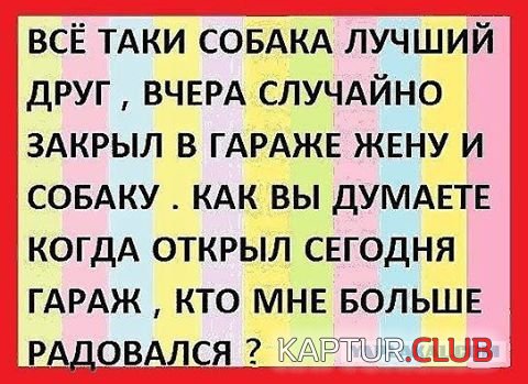 4eab7b6890498bc112840796bf0.jpg | Рено Каптур Клуб Россия | Форум KAPTUR.SU