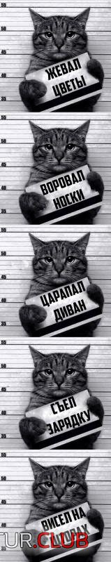 4ed058cf7687fa5e8acdb973376_prev.jpg | Рено Каптур Клуб Россия | Форум KAPTUR.SU