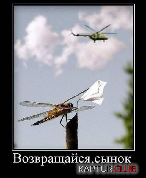 4ff4e5445ce0e598e7fc9609832.jpg | Рено Каптур Клуб Россия | Форум KAPTUR.SU