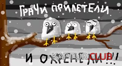 5.jpg | Рено Каптур Клуб Россия | Форум KAPTUR.SU