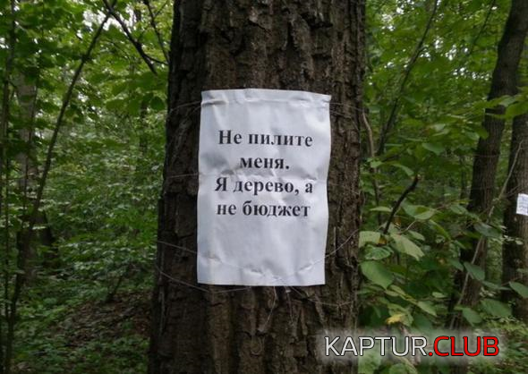 5.png | Рено Каптур Клуб Россия | Форум KAPTUR.SU