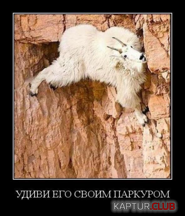 5.png | Рено Каптур Клуб Россия | Форум KAPTUR.SU