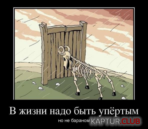 5.png | Рено Каптур Клуб Россия | Форум KAPTUR.SU