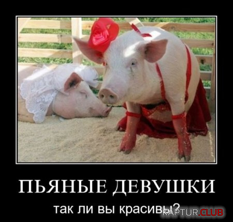5.png | Рено Каптур Клуб Россия | Форум KAPTUR.SU