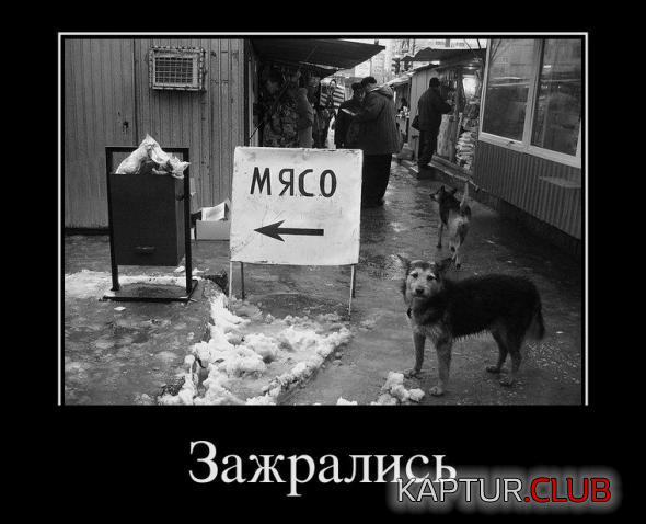 5.png | Рено Каптур Клуб Россия | Форум KAPTUR.SU
