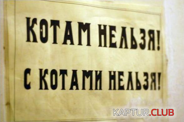 5.png | Рено Каптур Клуб Россия | Форум KAPTUR.SU