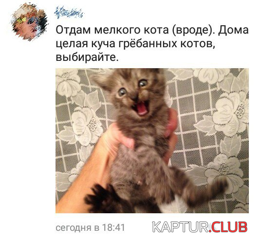 5.png | Рено Каптур Клуб Россия | Форум KAPTUR.SU