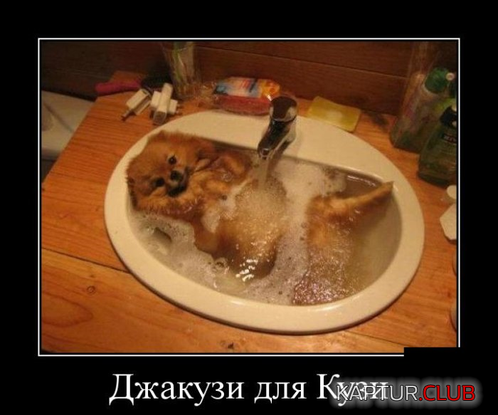 5.png | Рено Каптур Клуб Россия | Форум KAPTUR.SU