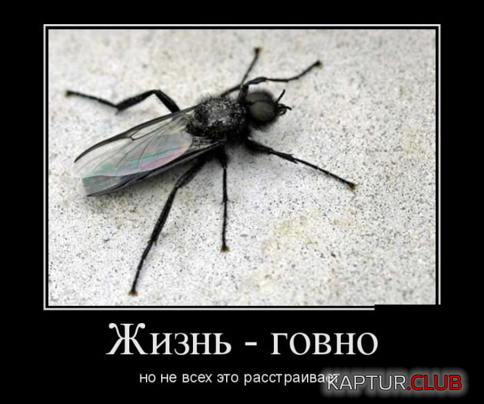 5.png | Рено Каптур Клуб Россия | Форум KAPTUR.SU