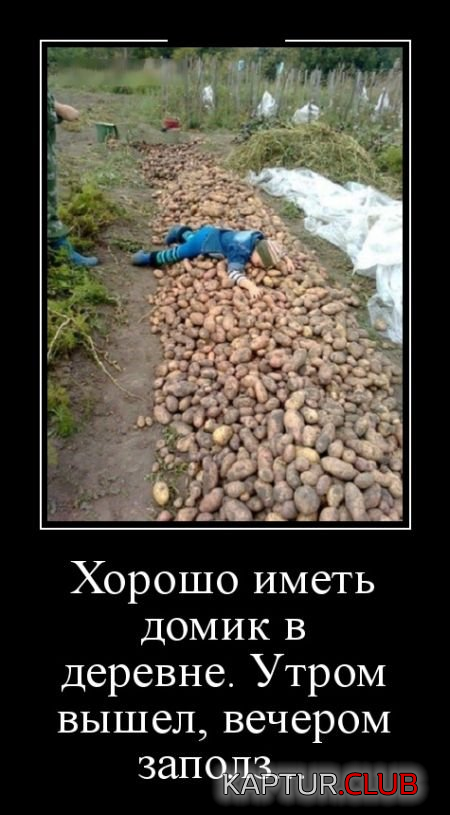 5.png | Рено Каптур Клуб Россия | Форум KAPTUR.SU