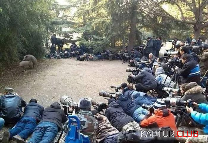 5.png | Рено Каптур Клуб Россия | Форум KAPTUR.SU