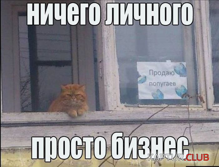 5.png | Рено Каптур Клуб Россия | Форум KAPTUR.SU