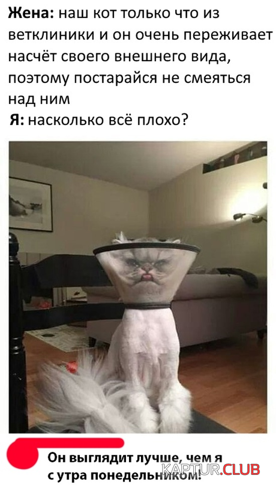 5.png | Рено Каптур Клуб Россия | Форум KAPTUR.SU