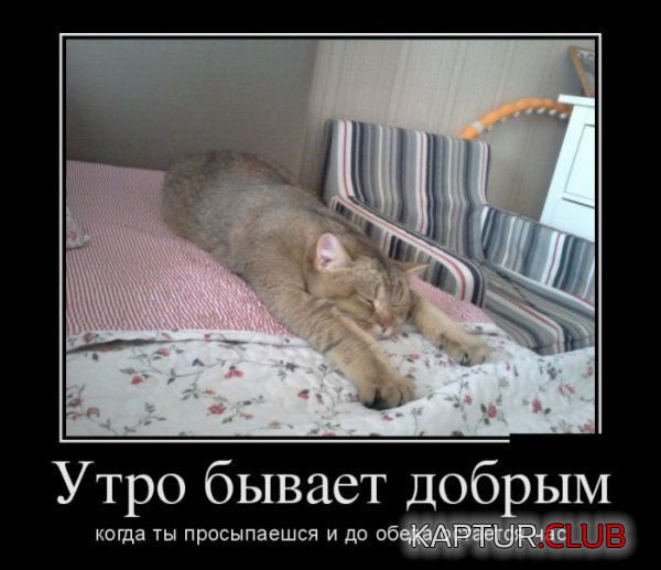 5.png | Рено Каптур Клуб Россия | Форум KAPTUR.SU