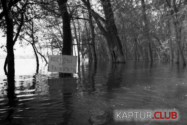 5.png | Рено Каптур Клуб Россия | Форум KAPTUR.SU