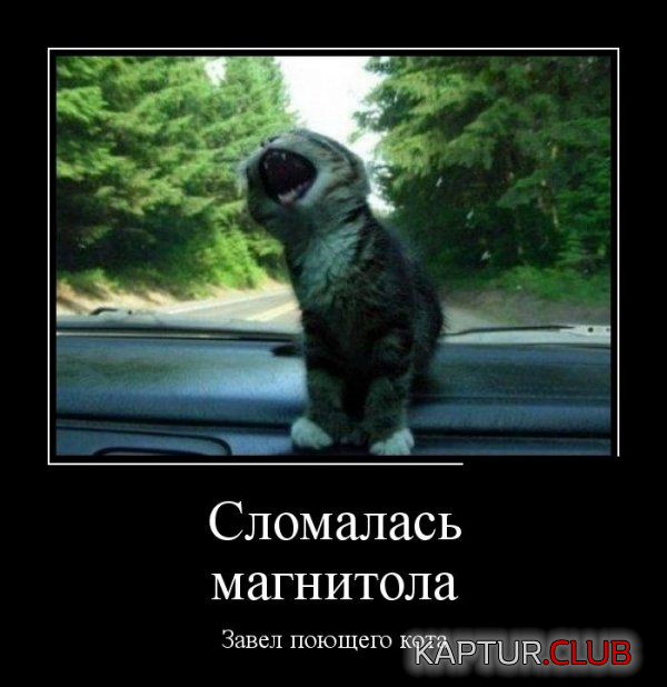 5.png | Рено Каптур Клуб Россия | Форум KAPTUR.SU