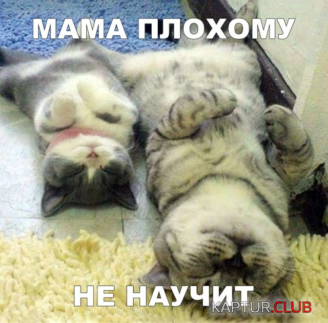 5.png | Рено Каптур Клуб Россия | Форум KAPTUR.SU