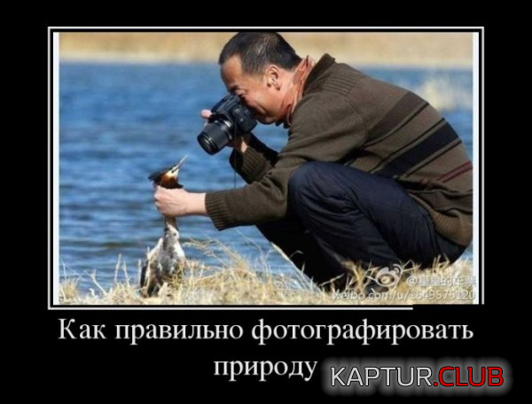 5.png | Рено Каптур Клуб Россия | Форум KAPTUR.SU