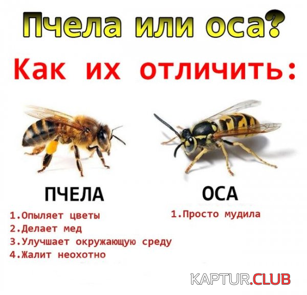 5.png | Рено Каптур Клуб Россия | Форум KAPTUR.SU