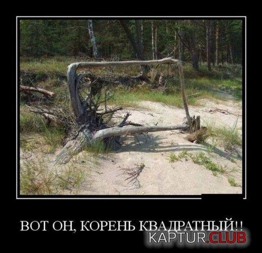5016f4c41df40653296dd7c688e.jpg | Рено Каптур Клуб Россия | Форум KAPTUR.SU
